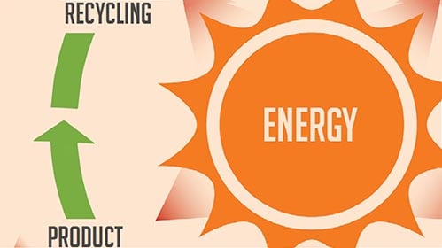 Environmental Impact infographic